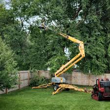 Tyler Run, PA Tree Removal Company